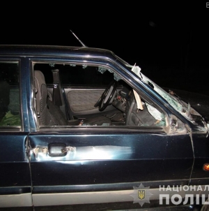 На Житомирщині автомобіль зіштовхнувся з підводою: 20-річний керманич возу у лікарні 
