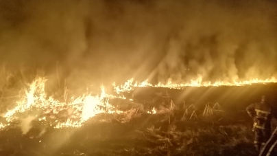 Впродовж минулої доби пожежниками було ліквідовано 11 загорян сухої трави