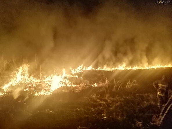 Впродовж минулої доби пожежниками було ліквідовано 11 загорян сухої трави