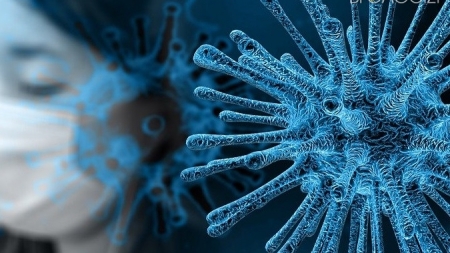 Кількість хворих на коронавірус у Житомирі збільшилася наполовину
