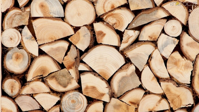 У Олевську для сільських садочків, старостатів та амбулаторій закуплять дрова для опалення
