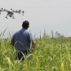 У Малинській ОТГ анонсували обробіток посівів на полях за допомогою дронів