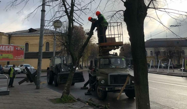 Біля міської ради Житомира зрізали старі липи (ФОТО)