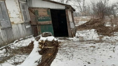 «Щедрівка» у селі Радомишльської громади закінчилася фатально