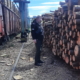 Контрабандист хотів вивезти за кордон 10 залізничних вагонів деревини