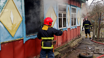 На пожежі у Коростенському районі загинула жінка