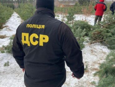 Цьогоріч утричі збільшили штрафи за «нелегальні ялинки»