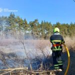 За вихідні на Житомирщині двоє людей травмувалося на пожежах сухої трави