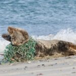 А що сьогодні – 27 квітня, понеділок