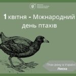 1 квітня – Міжнародний день птахів: Кожен голос і кожен птах мають значення!