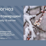 Прогноз погоди на день 10 квітня по Житомирській області