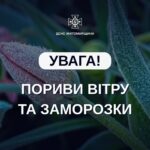 Сильний вітер і заморозки очікуються на Житомирщині