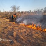 Протягом минулої доби на Житомирщині знову фіксували загоряння сухої рослинності — 7 пожеж
