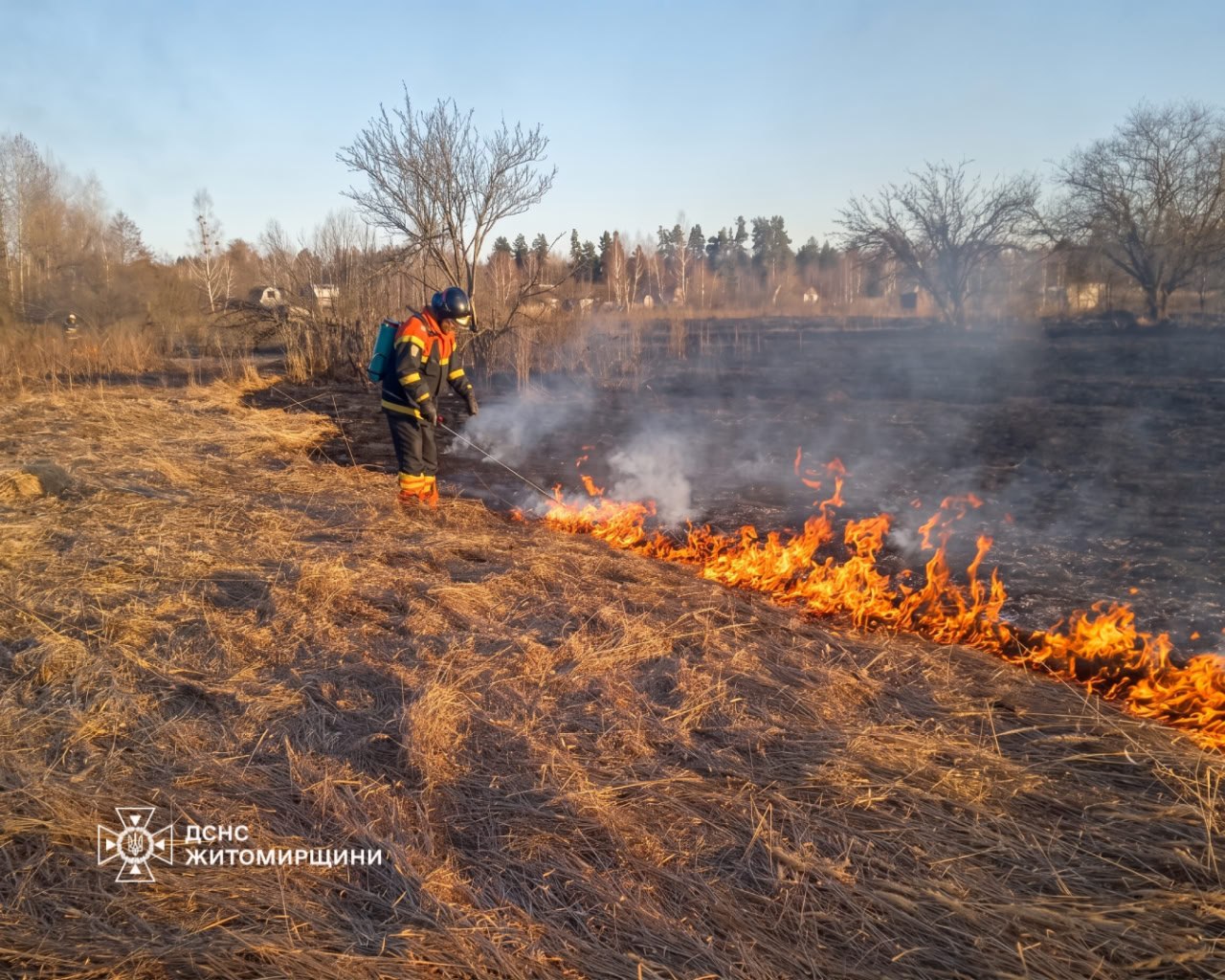 Протягом минулої доби на Житомирщині знову фіксували загоряння сухої рослинності — 7 пожеж