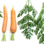 А що сьогодні – 4 квітня, субота