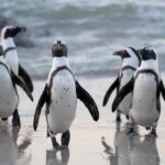 А що сьогодні – 25 квітня, субота