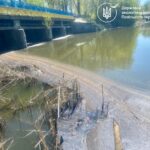 Масова загибель водних біоресурсів у річці Мика на Житомирщині: триває з’ясування причин