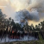 На Житомирщині триває ліквідація масштабної лісової пожежі
