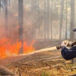 UPD: у Зоні відчуження триває ліквідація масштабної лісової пожежі