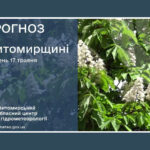 Погода сьогодні на Житомирщині