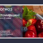 Погода сьогодні на Житомирщині