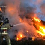 Рятувальники ліквідували пожежу на сміттєзвалищі в Житомирі
