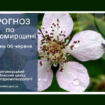 Погода сьогодні на Житомирщині