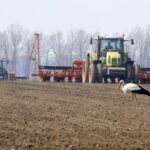 Аграрії Житомирщини завершили посівну кампанію — засіяно понад 1 млн гектарів