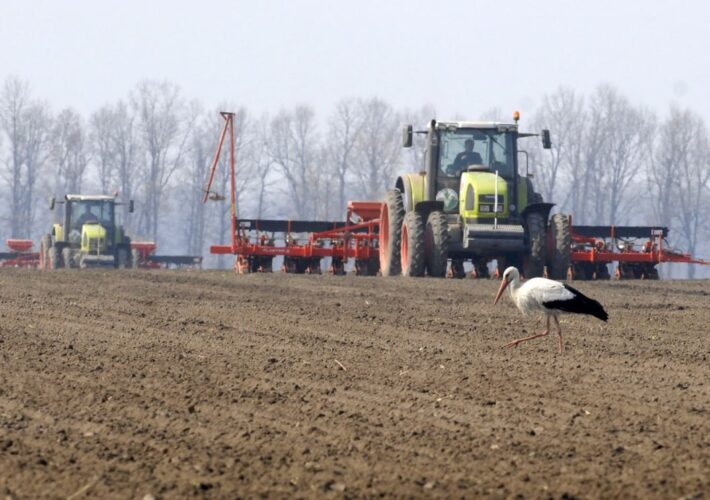 Аграрії Житомирщини завершили посівну кампанію — засіяно понад 1 млн гектарів