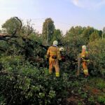 Підрозділи ДСНС області сім разів минулої доби залучалися до ліквідації наслідків негоди