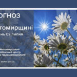 Сьогодні на Житомирщині спекотна погода! Але ввечері місцями короткочасний дощ
