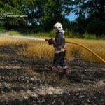 На Житомирщині згоріли 2 гектари пшениці через російську атаку