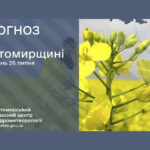 Погода сьогодні на Житомирщині