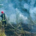Упродовж минулої доби зафіксовано 6 таких пожеж