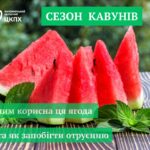 Сезон кавунів: чим корисна ця ягода та як запобігти отруєнню
