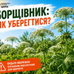 Борщівник: як уберегтися?